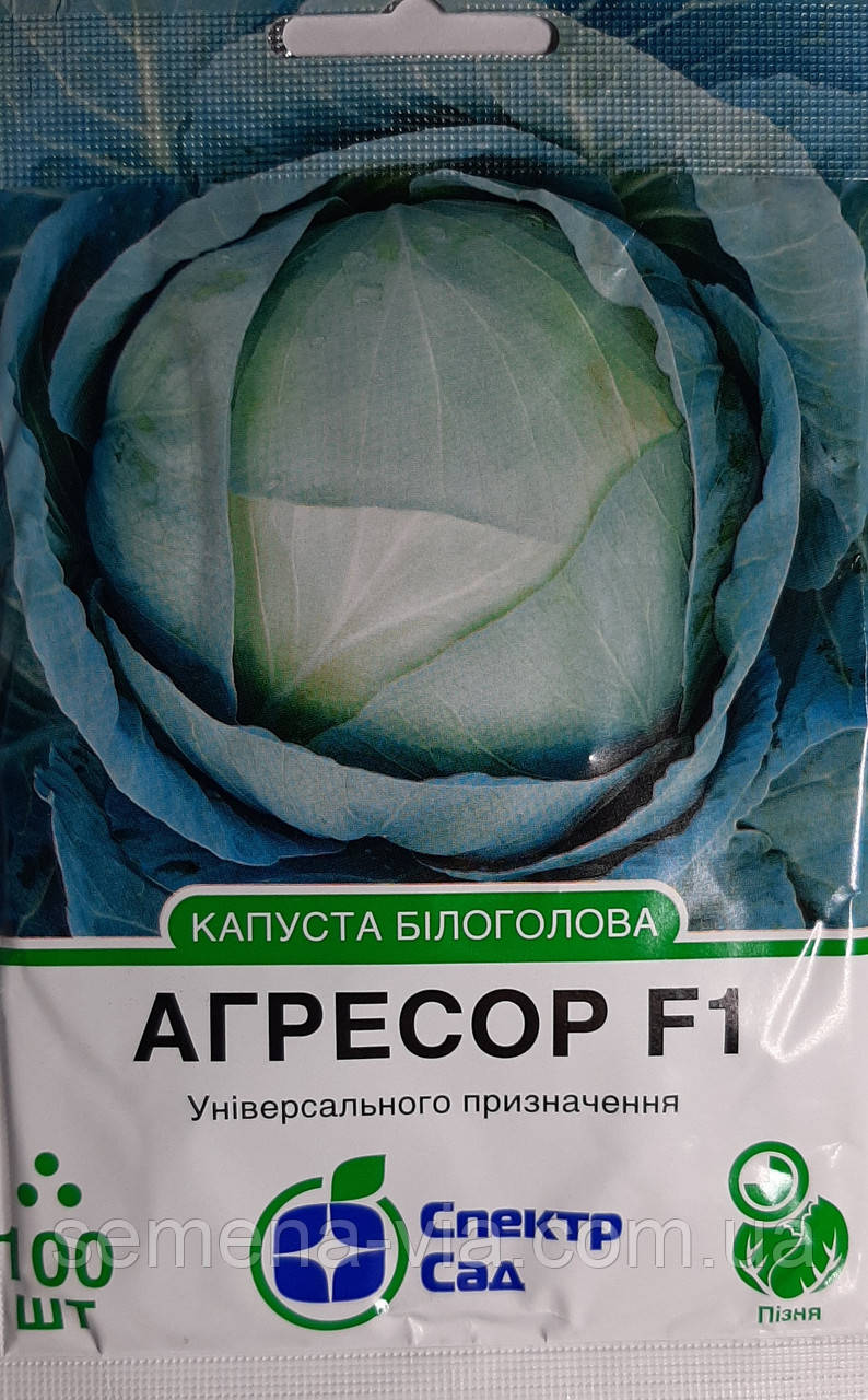 Насіння капусти Агресор F1 (Syngenta) (100 насінин)