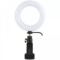 Лампа Кільцева LED (16 cm) Earldom ET-ZP29