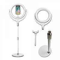 Лампа кільцева комплект LED 26 cm 10" F-539A 96 pcs 3300 K — 6000 К + holder + remote + tripod stand