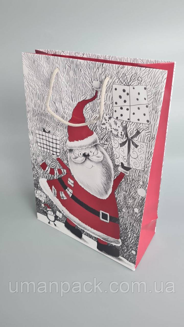 Паперовий Подарунковий Пакет Новорічний вертикальний 25/37/8 (12 шт.)