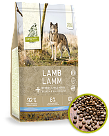 Сухий корм Isegrim Steppe Adult Lamb with Berries для дорослих собак з ягням, 3 кг