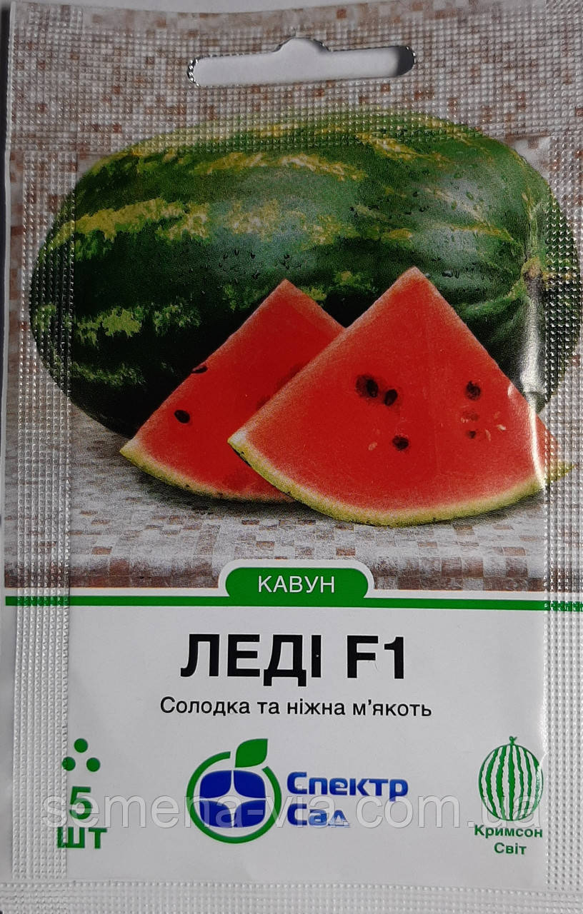 Насіння кавуна Леді F1 (Lady F1) 5 сем.