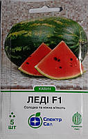 Насіння кавуна Леді F1 (Lady F1) 5 сем.