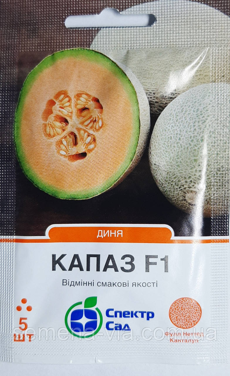 Семена дыни Капаз F1  5 сем., фото 1