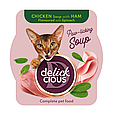 Суп для котів Delickcious з курки з шинкою та додаванням шпинату, 80 г, фото 2