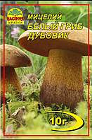 Гриби Білий Дубовик 10 г Насіння Країни