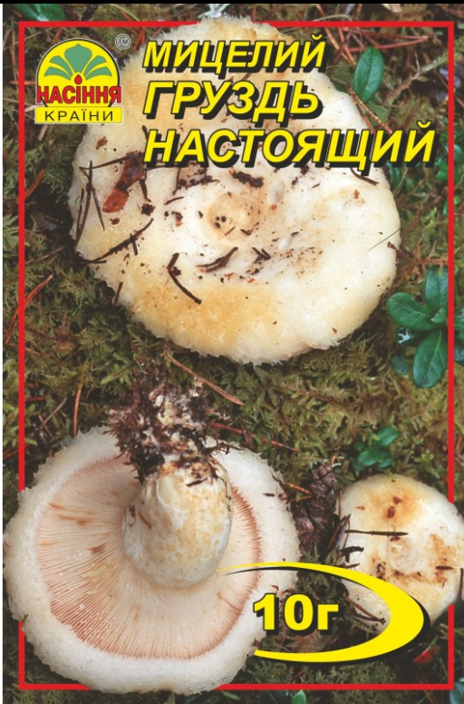 Гриби Груздь 10 г "Насіння Країни", фото 1