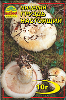 Гриби Груздь 10 г "Насіння Країни"