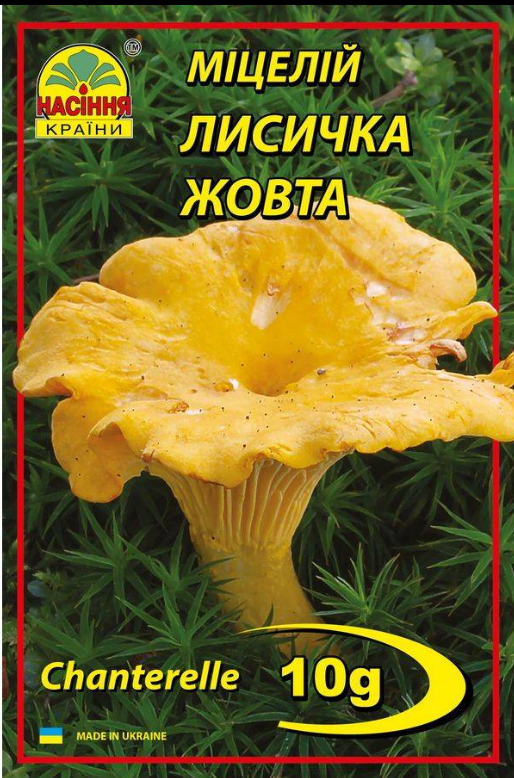 Гриби Лисичка жовта 10 г "Насіння Країни", фото 1