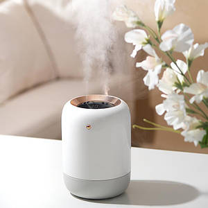 Зволожувач повітря антибактеріальний Doctor-101 Alto об'єм 1л з УФ-лампою та акумулятором на 4 години роботи