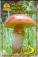 Гриби Маслянок звичайний 10 г "Насіння Країни"