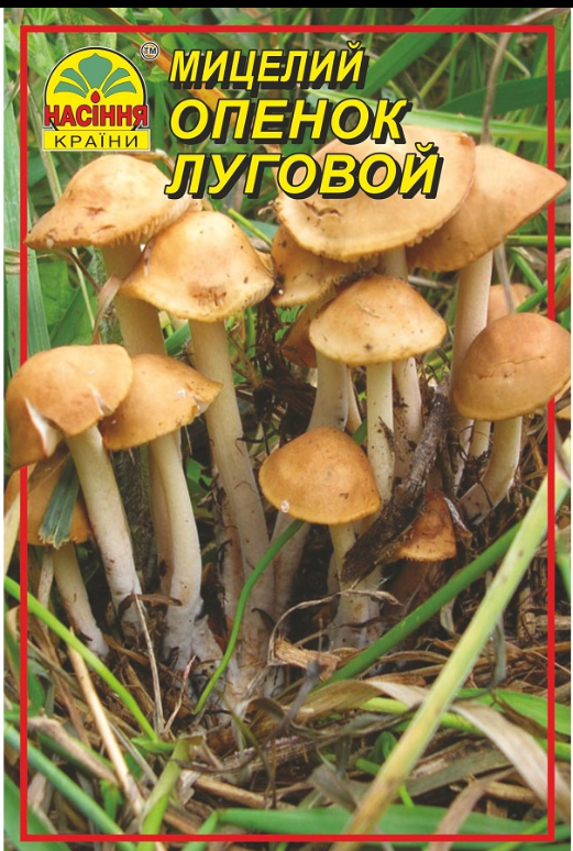 Гриби Опеньок луговий 10 г "Насіння Країни", фото 1