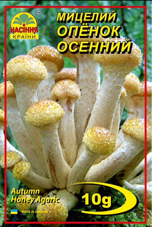 Гриби Опеньок осінній 10г "Насіння Країни", фото 1
