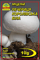 Гриби Печериця королівська біла 10 г "Насіння Країни"