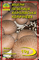 Гриби Печериця королівська Коричнева 10 г "Насіння Країни"