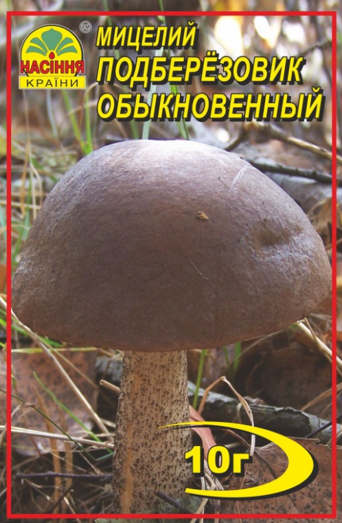 Гриби Підберезник звичайний 10 г "Насіння Країни"