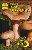 Гриби Рижик 10 г "Насіння Країни"