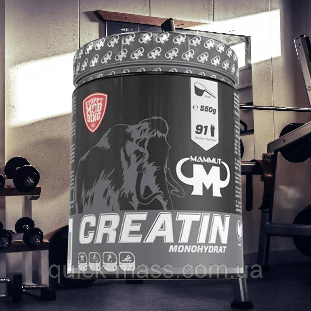 Креатин моногідрат Mammut (Germany) Creatine Monohydrate Powder 550g