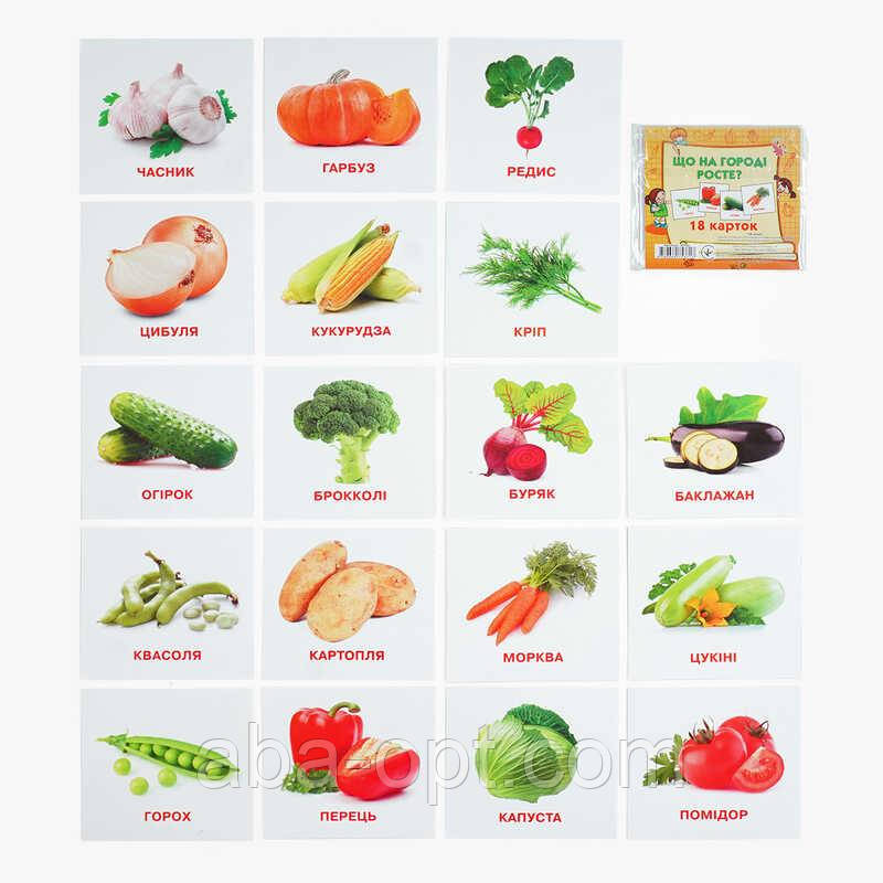 Гра Картки міні (18 карток) "Що росте на городі" 9789669753717 (40) "Jumbi", фото 1