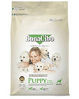 BonaCibo (Бонасибо) Puppy Lamb & Rice сухий корм для цуценят, вагітних і годуючих собак