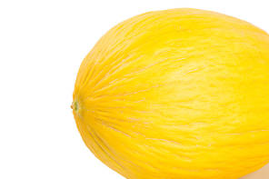 Насіння дині Кечал F1 Rijk Zwaan 100, фото 3