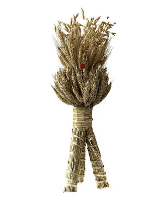 Дідух 45 см,квітка гомфрена