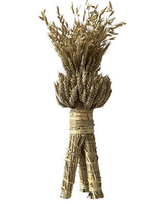 Сушений сніп Дідух із колосків на різдвяний стіл / Український оберіг для дому на Різдво