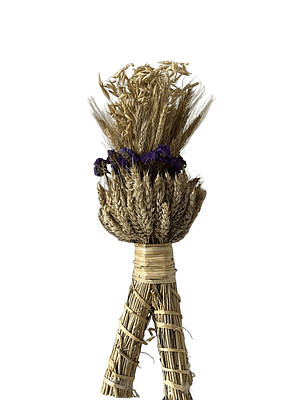 Дідух з фіолетовими сухоцвітами 45 см, квітка кермек