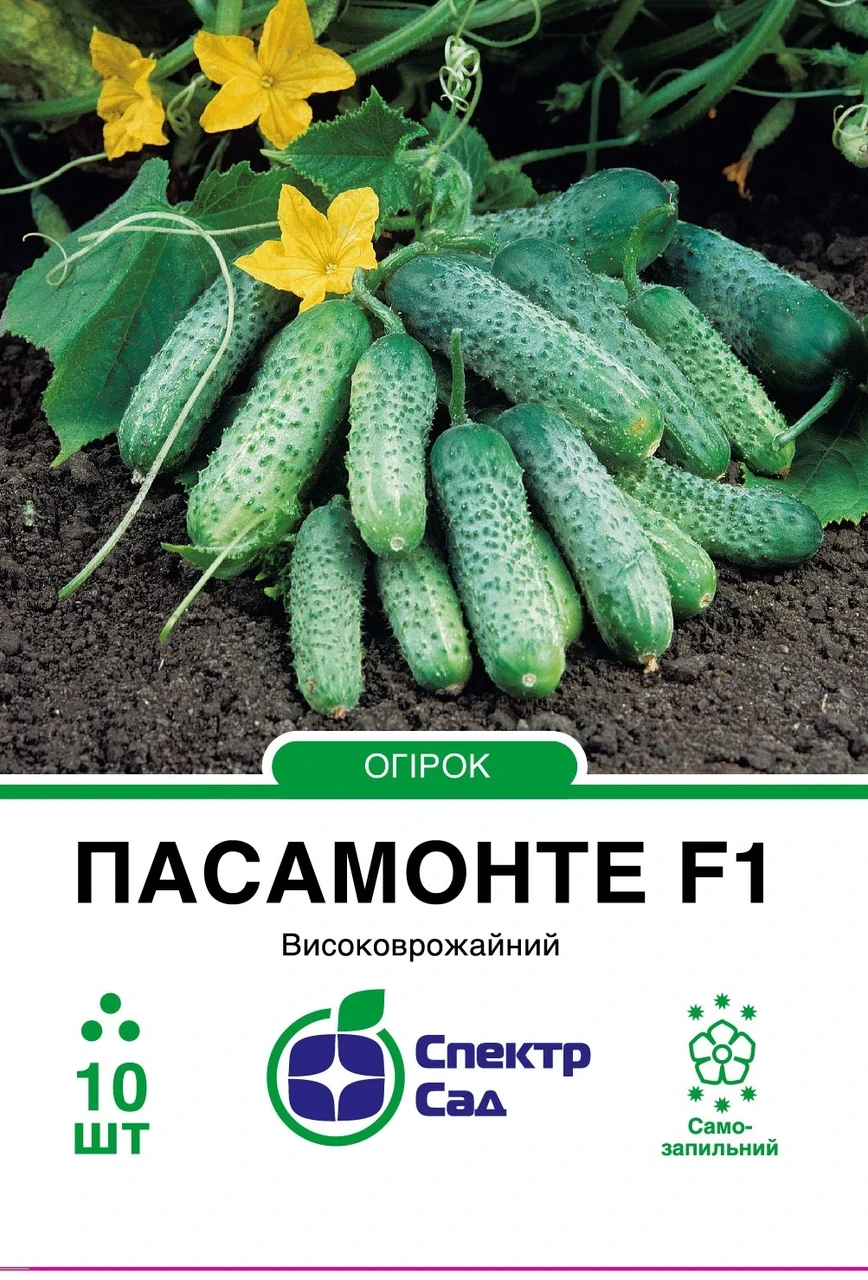 Огірок Пасамонте F1, корнішон, партенокарпічний, 10 нас. СПЕКТР