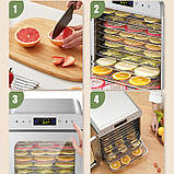 Дегідратор сушіння фруктів овочів 400 Вт з 10 секціями з нержавійки для приготування сухофруктів та овочевих чипсів у домашніх, фото 5