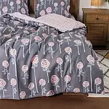Комплект постільної білизни ТМ Вілюта ранфорс  20127, фото 4