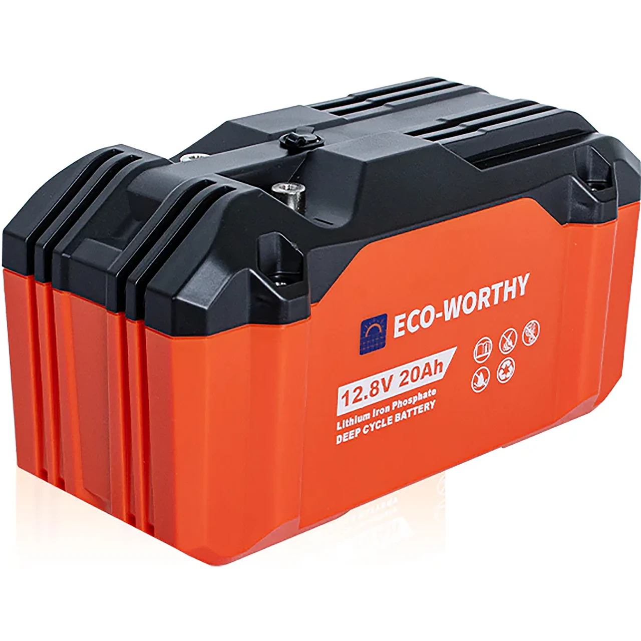 Акумулятор літий-залізо-фосфатний ECO-WORTHY 12,8 V 20Ah LiFePO4, фото 1