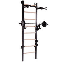 Шведська стінка-стійка з турніком брусами і лавою для преса і спини SP-Planeta Master Wood PRO L-2405 сталь, фото 2