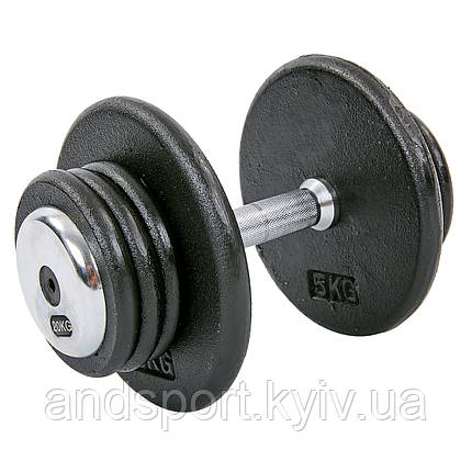 Гантель цілісна професійна RECORD TA-7231-20 20кг 1шт 20кг Код TA-7231-20, фото 1