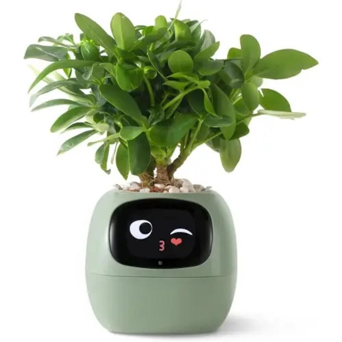 Розумний горщик для рослин Ivy Smart Planter Tuya Al, Green зі штучним інтелектом