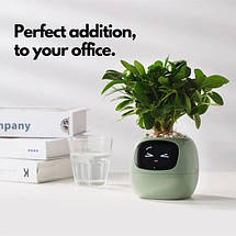 Розумний горщик для рослин Ivy Smart Planter Tuya Al, Green зі штучним інтелектом, фото 4