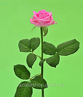 Роза розовая Аква 70см