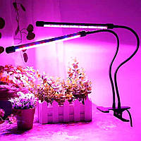 Фітолампа для рослин для домашніх рослин (2 гілки), NVX