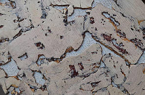 Коркові шпалери "Cappuccino" Капучіно 600х300х3мм корок на стіну TM Bazalux