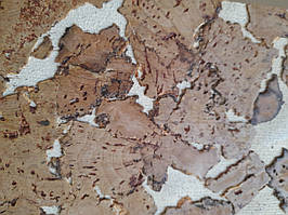 Коркові шпалери "Latte" Латте 600х300х3мм корок на стіну TM Bazalux