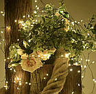 Новорічна USB гірлянда нитка кластер нитка 20м 600LED на катушці тепле світло зелена проволка, фото 9