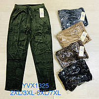 Спортивні велюрові штани для жінок оптом, 2XL/3XL-6XL/7XL рр.,  арт. Si-YCX1325, фото 2