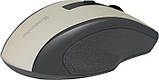 Комп'ютерна миша бездротова Defender Accura MM-665, USB, оптична, 1600 dpi, 6 кнопок, 2xAAA Gray/Black, фото 4