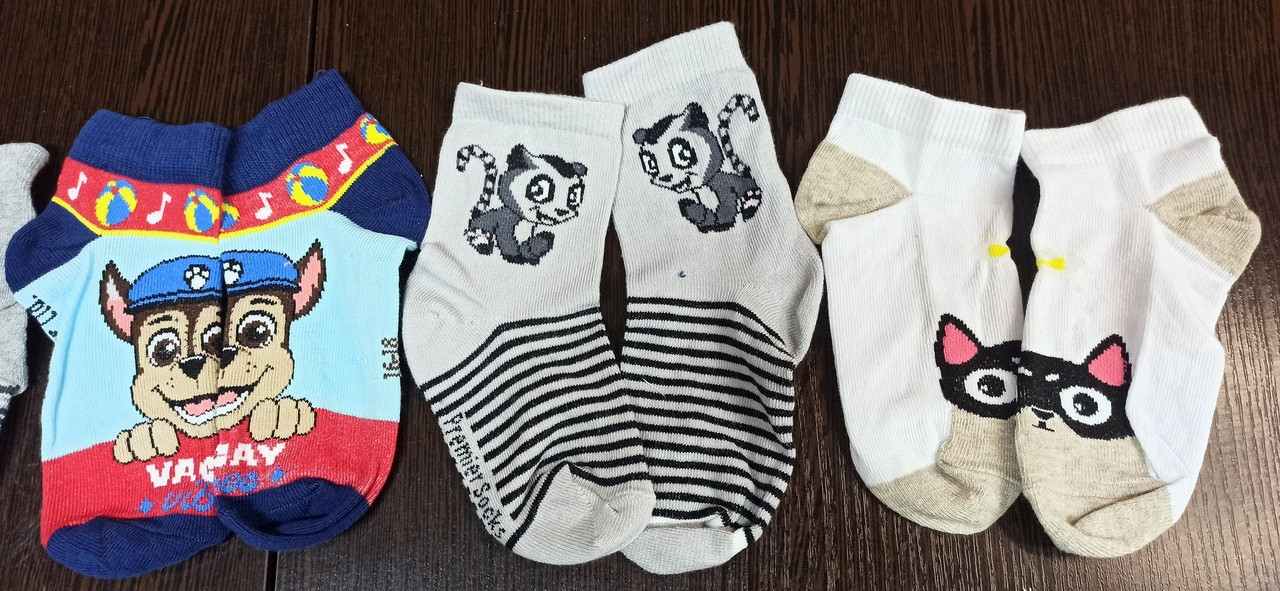 Дитячі шкарпетки демі. Р16, фото 1