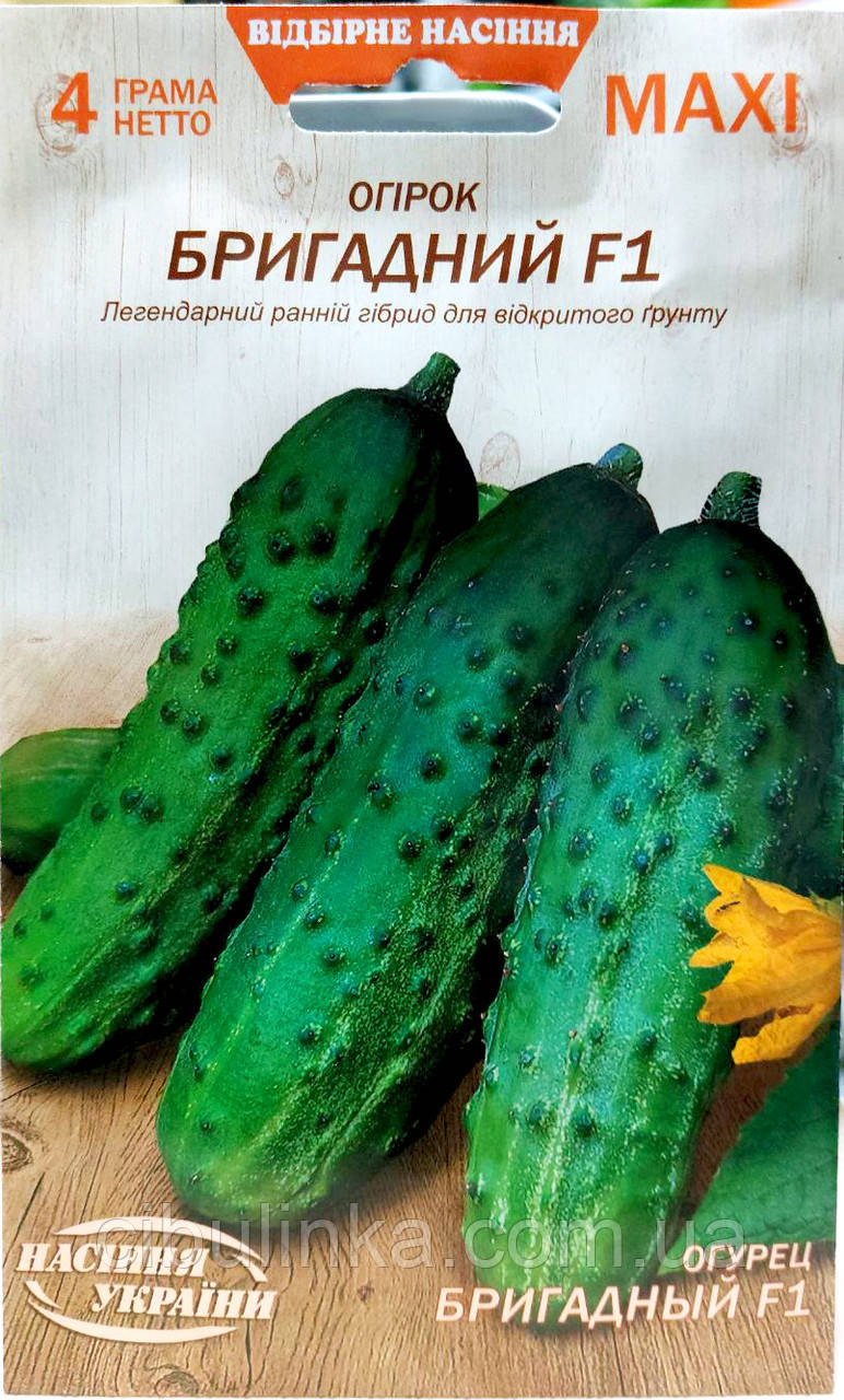Огірок Бригадний F1 (середньоранній) 4 г, фото 1