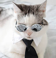 Сонцезахисні окуляри для домашніх тварин срібні