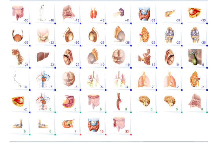 Сегментарна діагностика. Метод Експрес