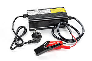 Зарядное устройство YZPOWER YZ300 (12.8V20AL)