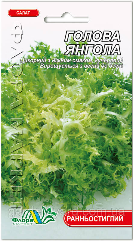 Насіння салат цикорний кучерявий Голова Янгола 0,5г. Флора маркет