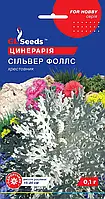 Насіння Цинерарiї Сiльвер Фоллс 0.1 г